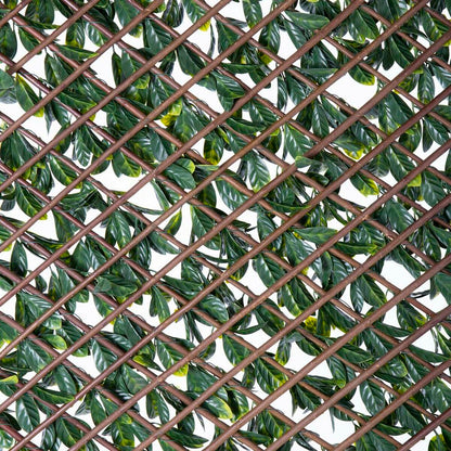 Screen wall Natural Ivy Willow Bamboo 2 x 200 x 100 cm